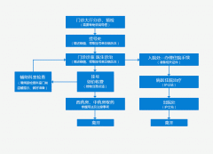 就诊指南